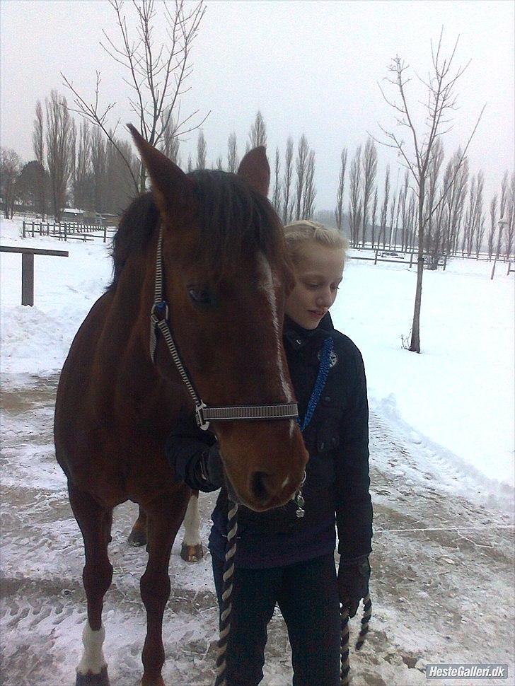 Anden særlig race                 Candy   HVR [Tidl. passer] billede 15