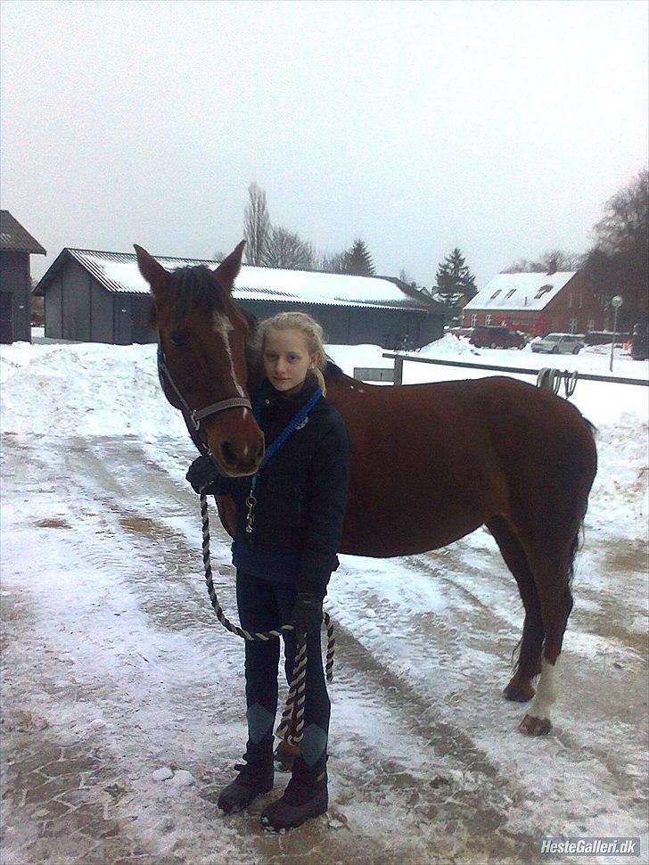 Anden særlig race                 Candy   HVR [Tidl. passer] billede 19