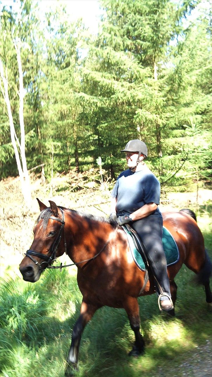 Anden særlig race Lukas - På ridelejr d. 24/7-10 billede 3