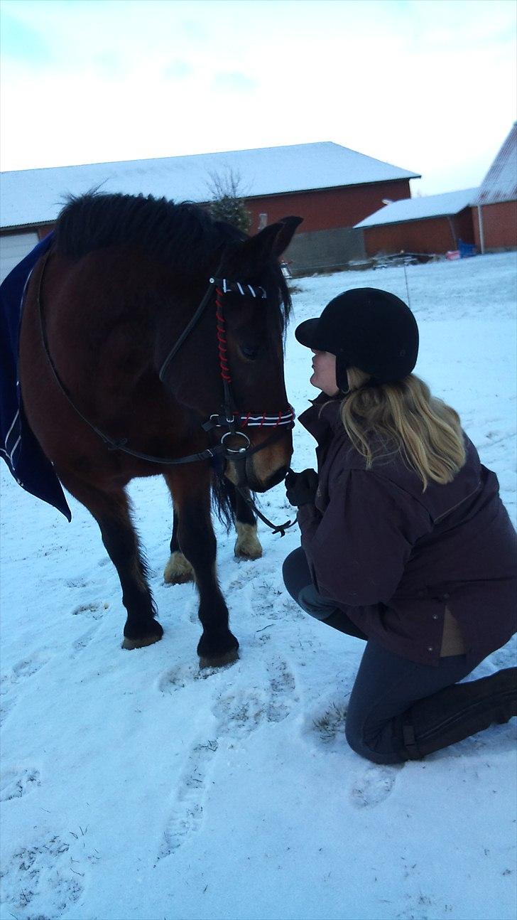 Anden særlig race Lukas - Hyggetrold :-) billede 5