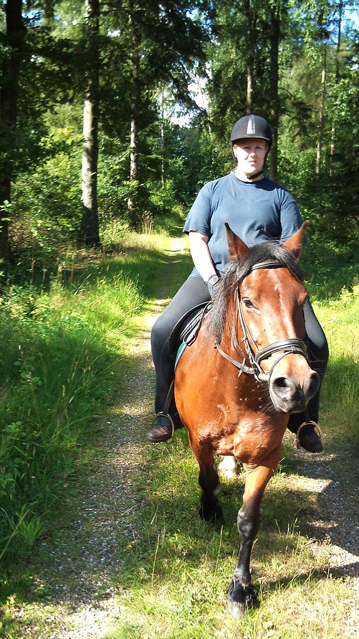 Anden særlig race Lukas - Ridelejr d. 24/7-10 billede 8