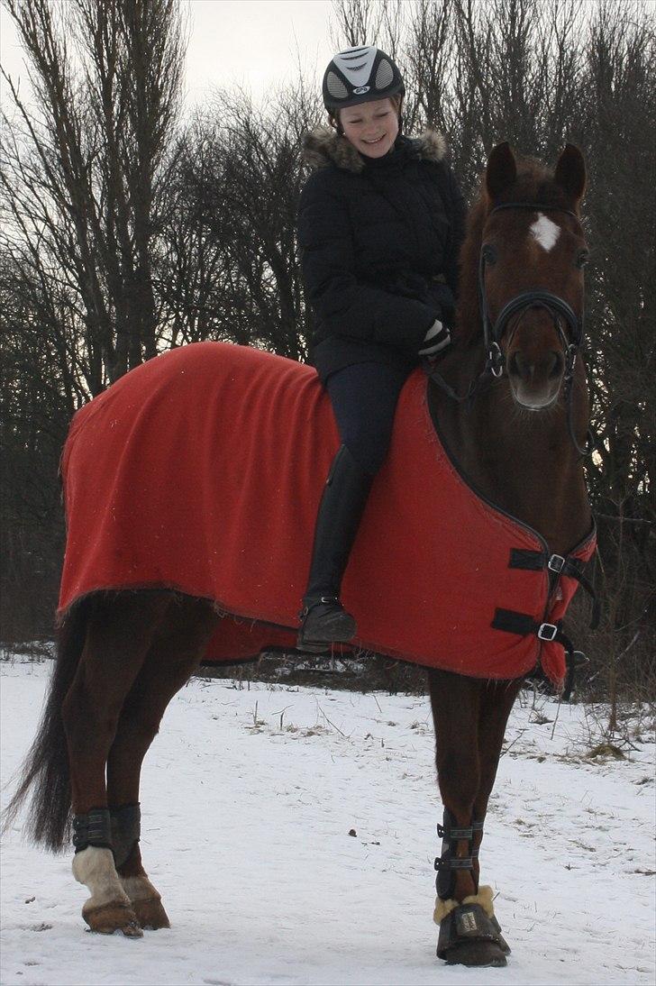 New Forest Berktzicht Ronald *Bruce* R.I.P. <3 - 6// Bruce & jeg ude at få taget billeder i den skønne natur!(: // 29/1-11 // PL-foto. billede 6