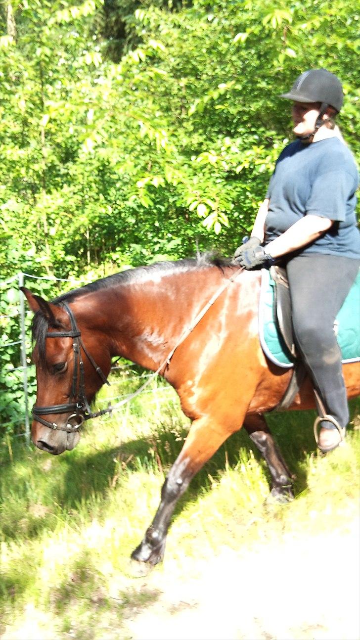 Anden særlig race Lukas - Ridelejr d. 24/7-10 billede 14