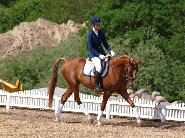 Anden særlig race Suspicious Firefly Flip SOLGT billede 9