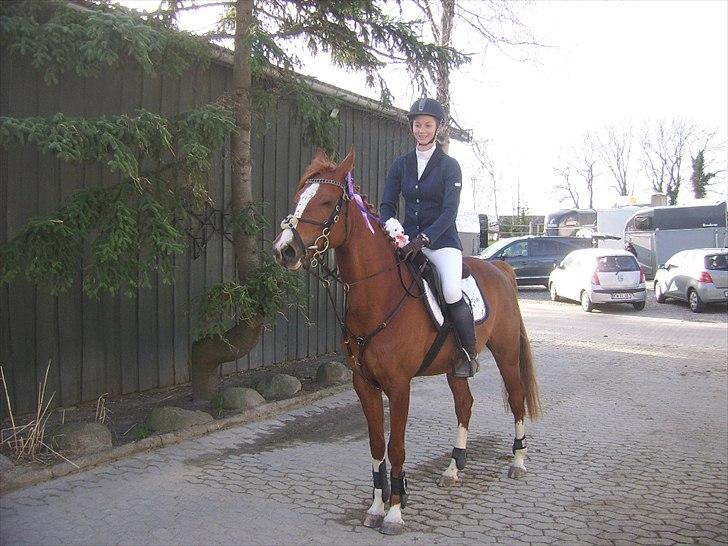 Anden særlig race Suspicious Firefly Flip SOLGT billede 10