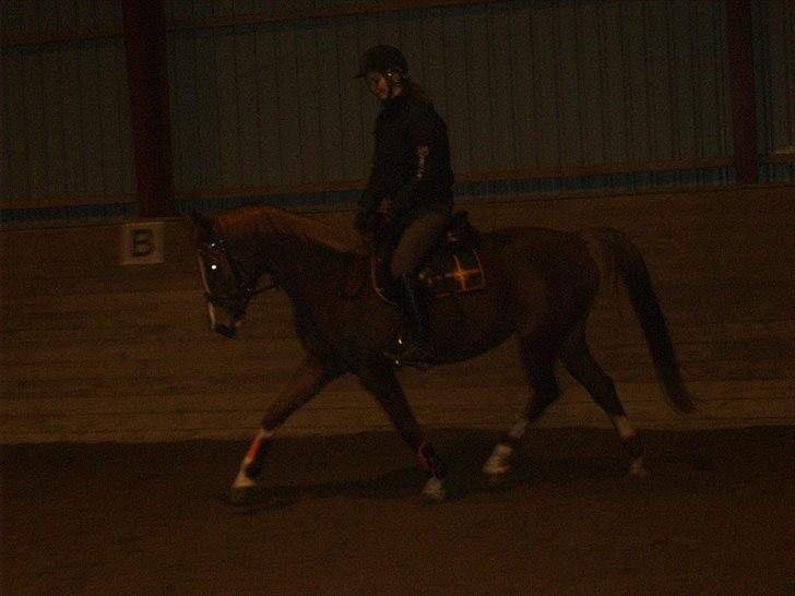 Anden særlig race Suspicious Firefly Flip SOLGT billede 12