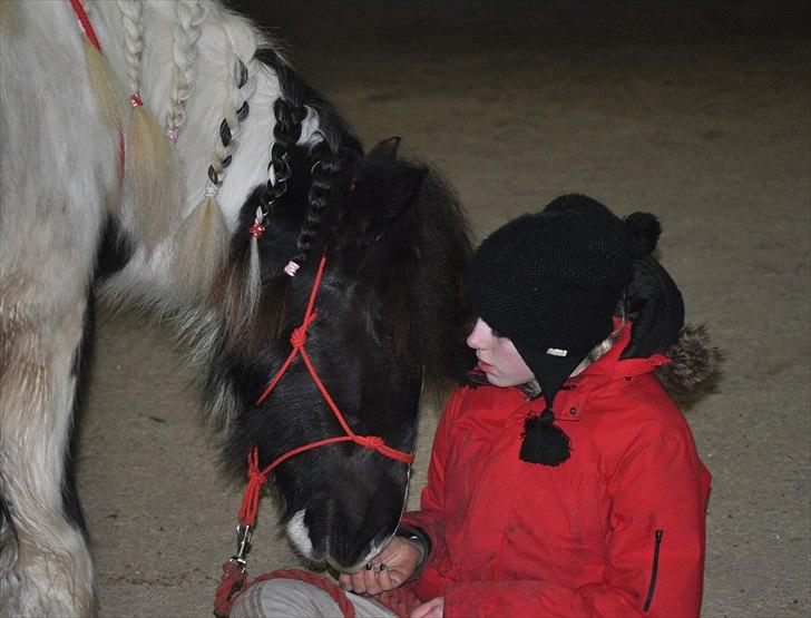 Tinker Lady Harmonie<3 (træner) - <3 billede 4