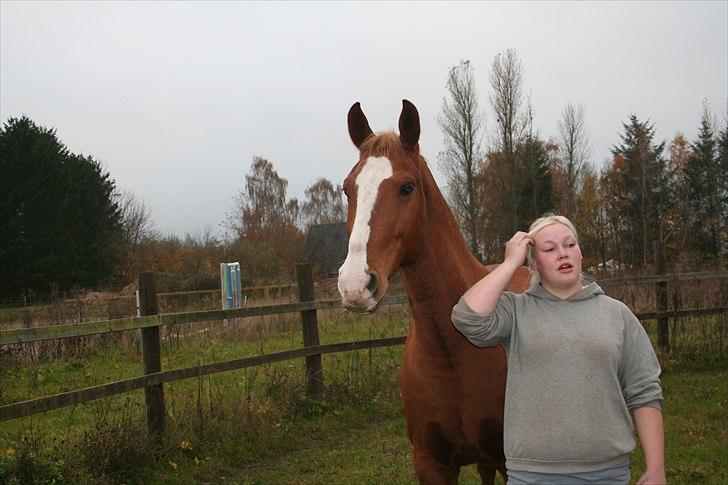Frederiksborg Ricko Nydal  billede 11