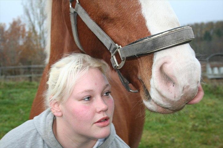 Frederiksborg Ricko Nydal  billede 12