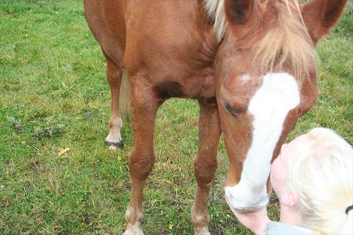 Frederiksborg Ricko Nydal  billede 13