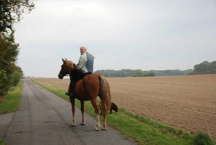 Frederiksborg Ricko Nydal  billede 16