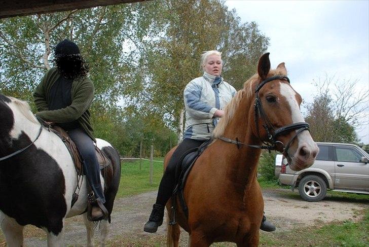 Frederiksborg Ricko Nydal  billede 17