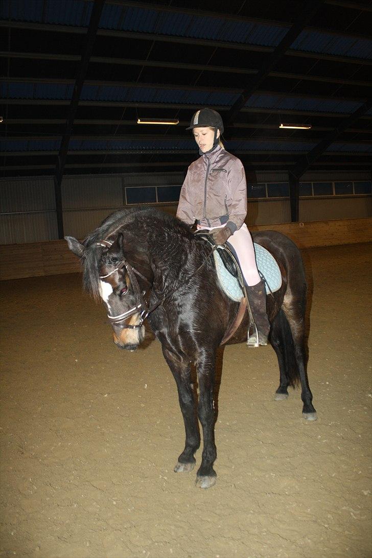 Connemara  | Bigge Aislinn billede 14