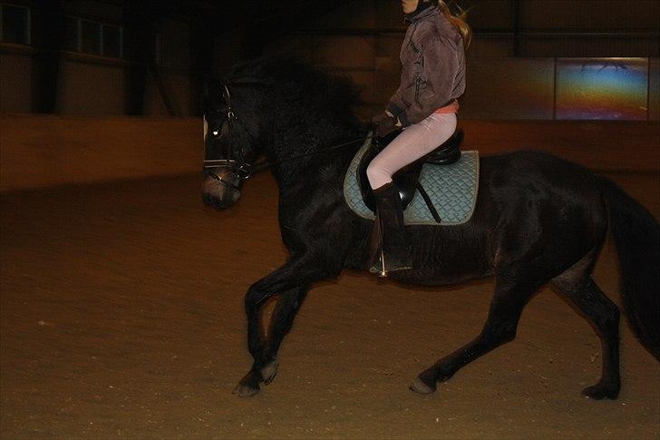 Connemara  | Bigge Aislinn billede 15