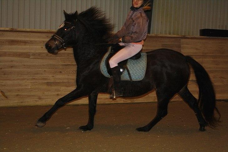 Connemara  | Bigge Aislinn billede 16