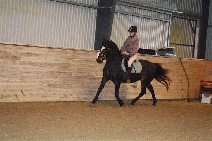 Connemara  | Bigge Aislinn billede 17