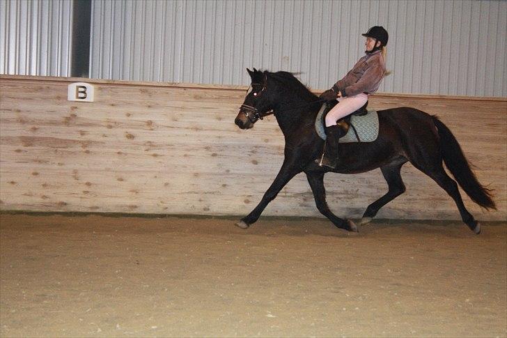 Connemara  | Bigge Aislinn billede 18