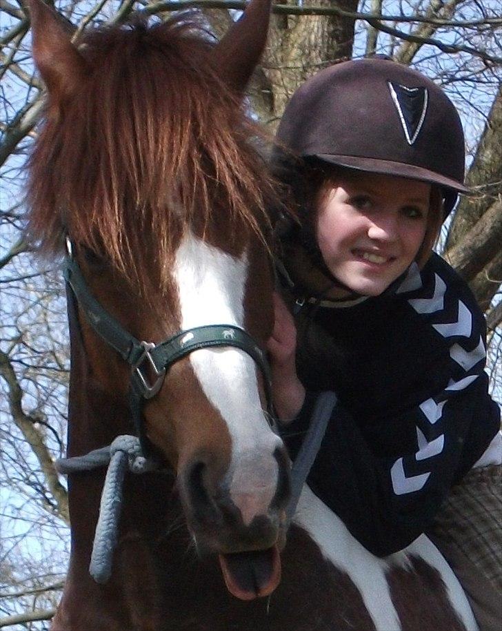 Pinto Emir (part) billede 7