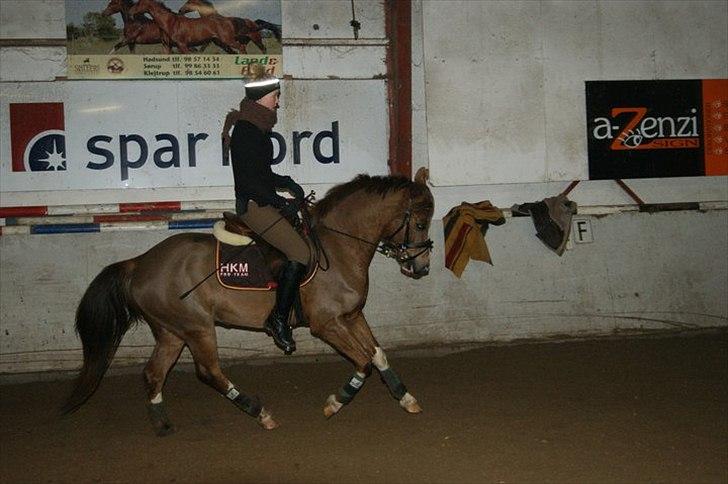 DSP Laban. - Rikke og Laban (galop) billede 11