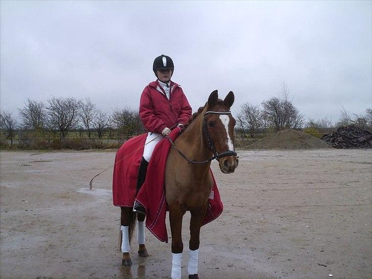 Anden særlig race Bulsara R.I.P - stævne :) billede 14