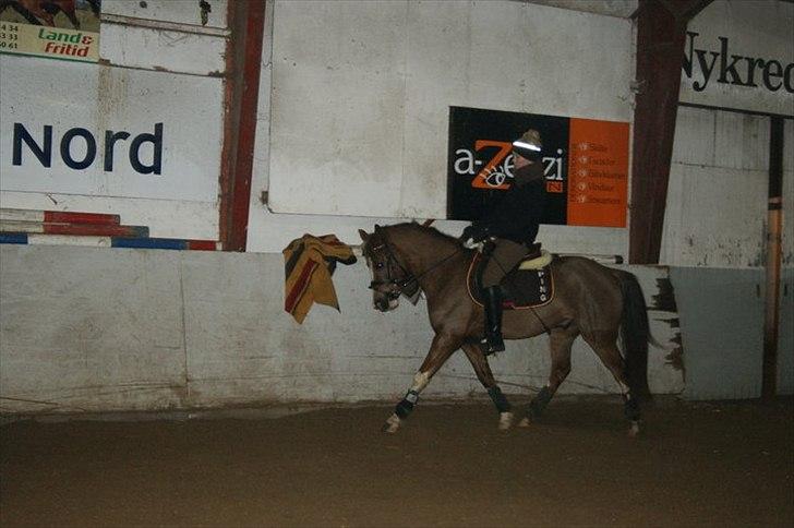 DSP Laban. - Rikke og Laban (trav) billede 12