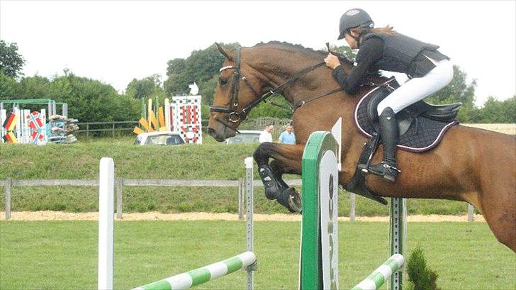 Dansk Varmblod Carsan Frej billede 16