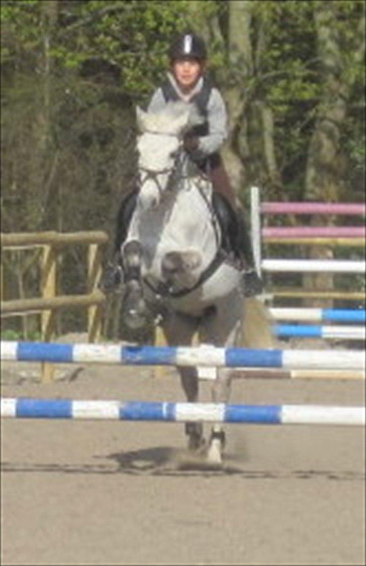 Anden særlig race  Bandit<3 *SOLGT* - heheheheh:D smid gerne en kommentar og bedømmelse så blir jeg glad xD billede 20