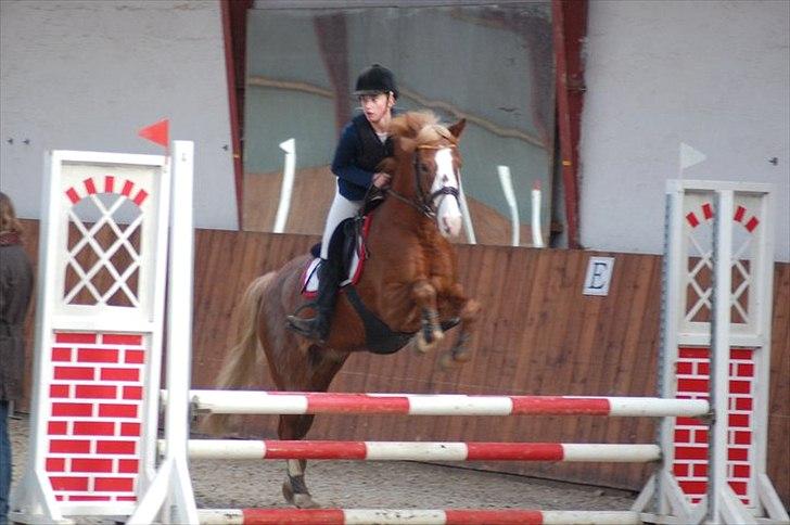 Hollandsk Sportspony Jan <3 SOLGT - Klubmesterskab 2010 :D billede 11