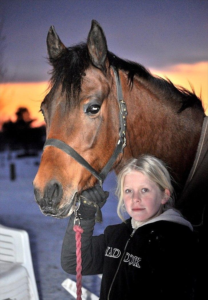 Anden særlig race Shania *part* - mit et og alt! <3 billede 1