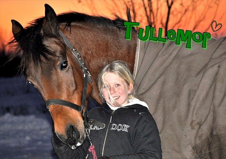 Anden særlig race Shania *part* - du er og bliver min Tullemor! ;) billede 2