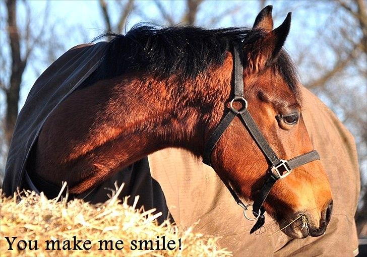 Anden særlig race Shania *part* billede 4