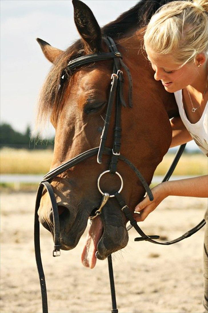 Anden særlig race Shania *part* billede 8