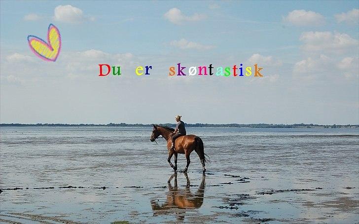 Anden særlig race Shania *part* - ja.. du er skønbtastisk!.. :) <3<3 billede 10