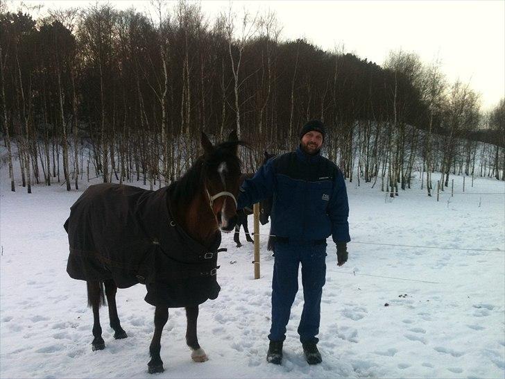 Anden særlig race Lady billede 8