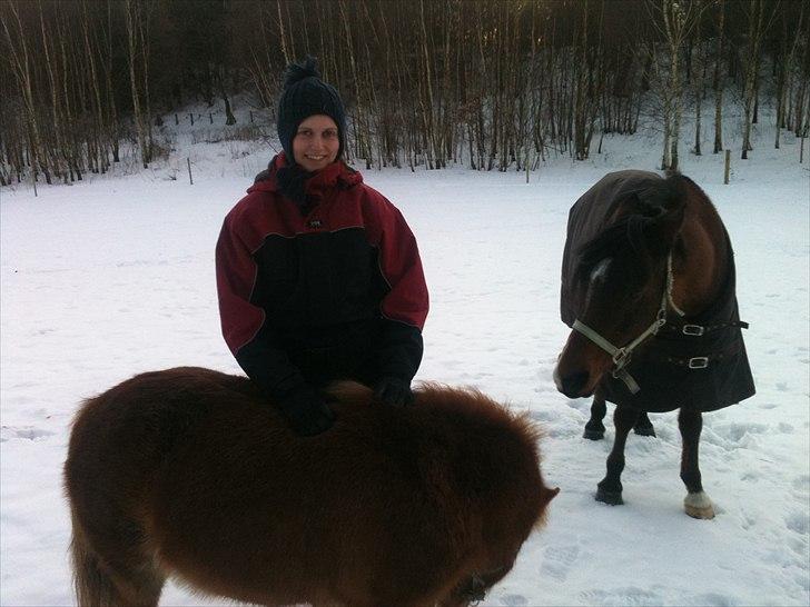 Anden særlig race Lady billede 9