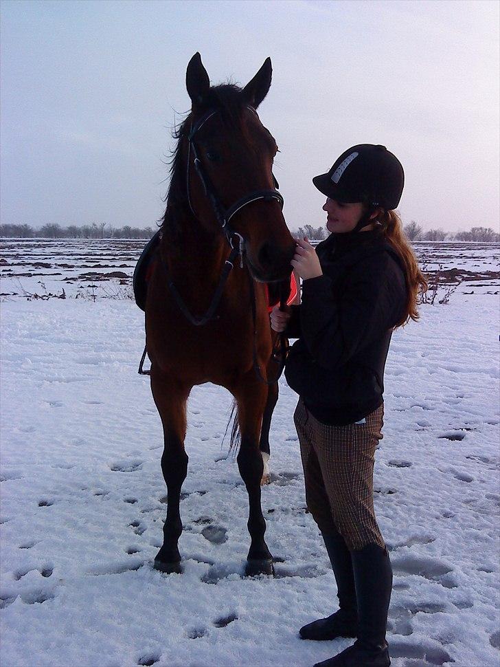 Traver Opus one VP  billede 17