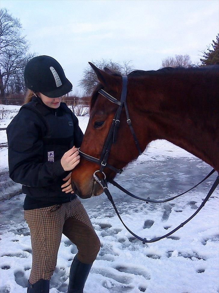 Traver Opus one VP  billede 18