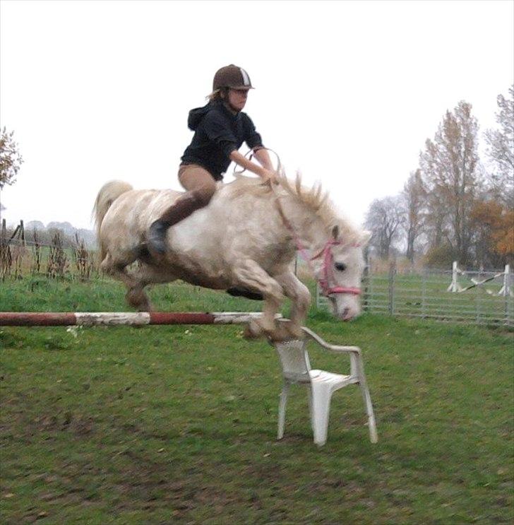 Anden særlig race  Apache  - En ven spurgte mig, hvad venskab er for mig - Jeg svarede simpelt ,,Apache´´ billede 10