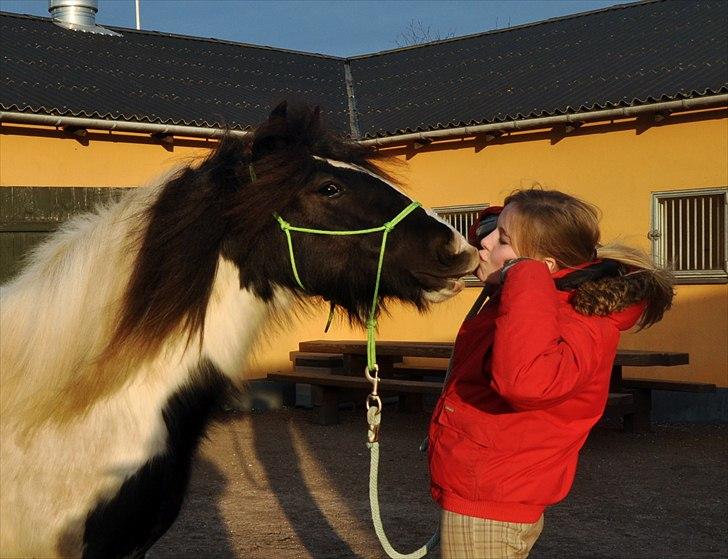Tinker Lady Harmonie<3 (træner) - Et kys til prinsessen<3 billede 2