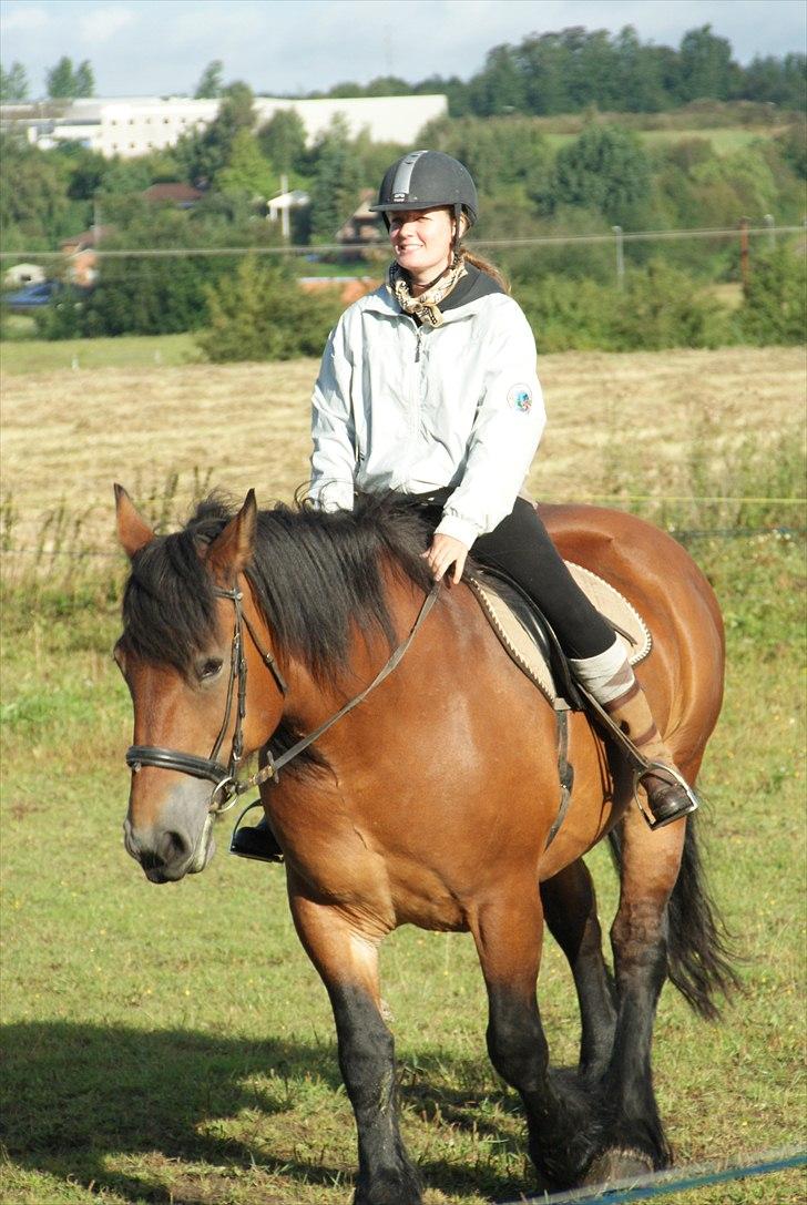 Belgier Malibu **BROVANG** SOLGT ! - En dejlig stille og rolig hest, det lige før hun luller en i søvn når man sidder og nyder turen på ryggen af hende.. :) billede 5