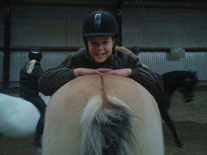 Fjordhest Lion! <3 :* billede 19