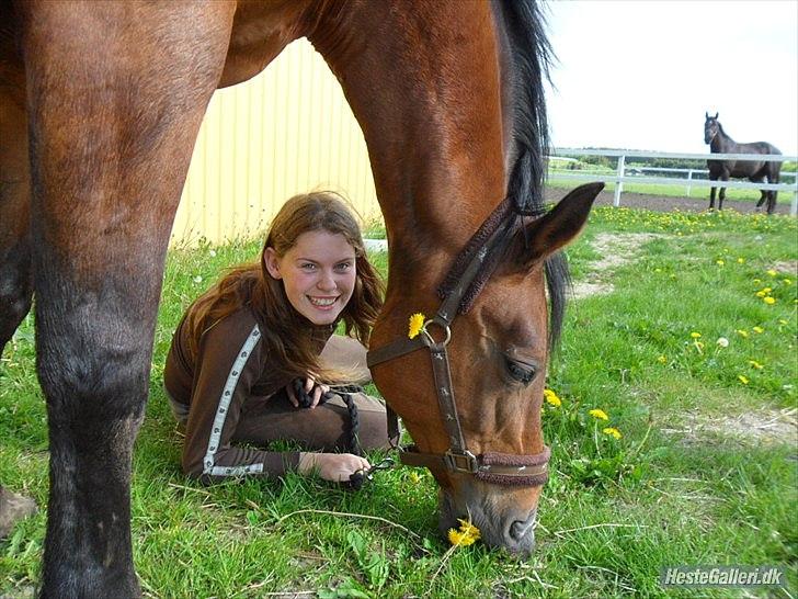 Anden særlig race Schima Charei! <3 - Du betyder ALT skat <33 billede 1