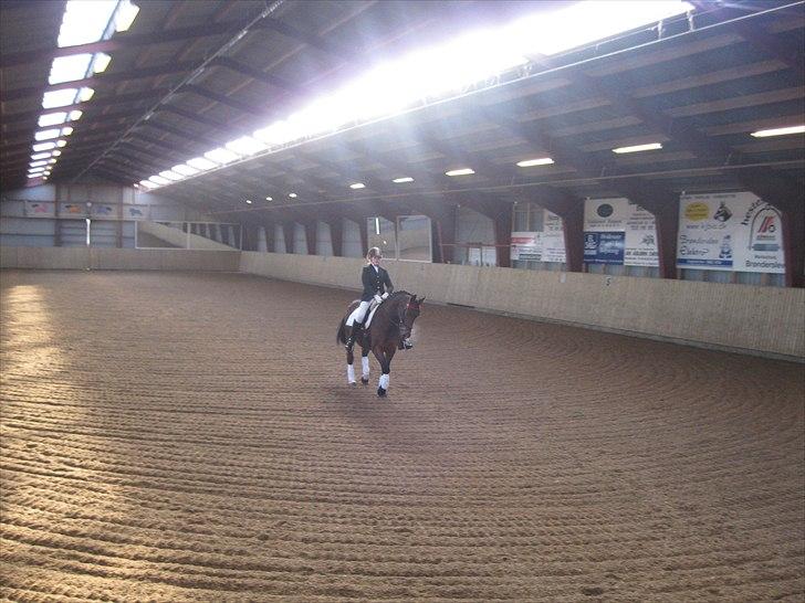 Anden særlig race Schima Charei! <3 - Stævne.. billede 2