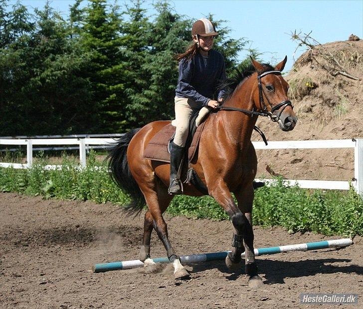 Anden særlig race Schima Charei! <3 - Ridelejr. 2010 billede 6