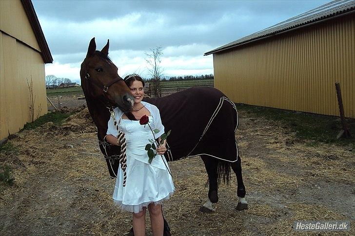 Anden særlig race Schima Charei! <3 - Ude ved tykke efter min konfirmation, taget den 4 maj 2010. billede 7