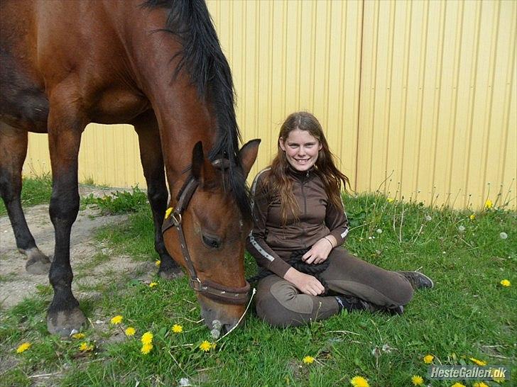 Anden særlig race Schima Charei! <3 - Hygge. billede 8