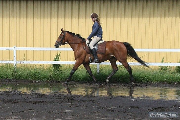 Anden særlig race Schima Charei! <3 - Ridelejr. 2010 billede 10