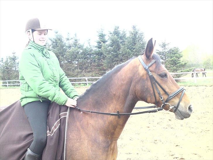 Anden særlig race Schima Charei! <3 - Da jeg næsten lige havde fået hende ! <33 billede 12