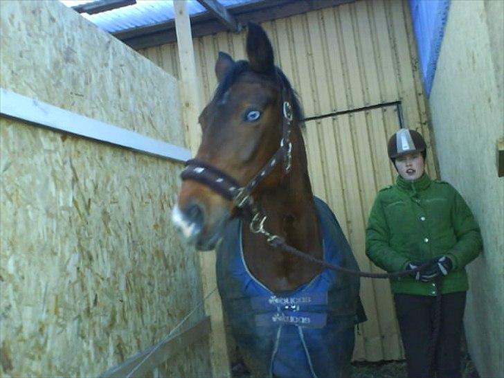 Anden særlig race Schima Charei! <3 - På vej ud på folden. billede 13