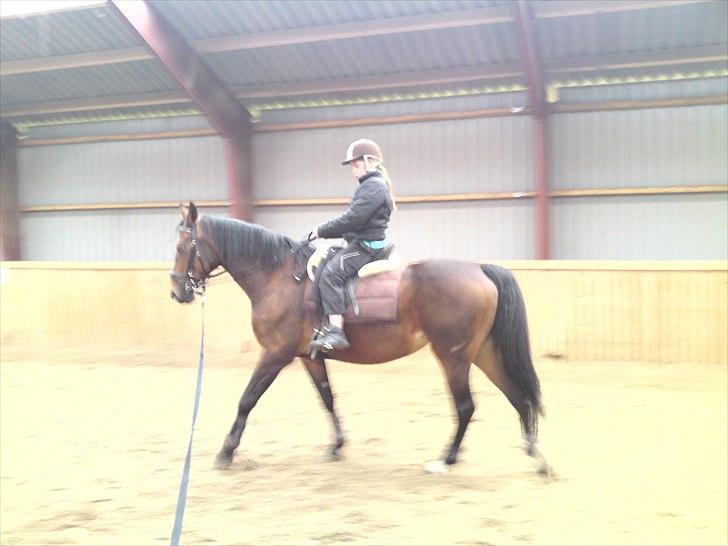 Anden særlig race Schima Charei! <3 - Minbedsteveninde prøver tykke billede 15